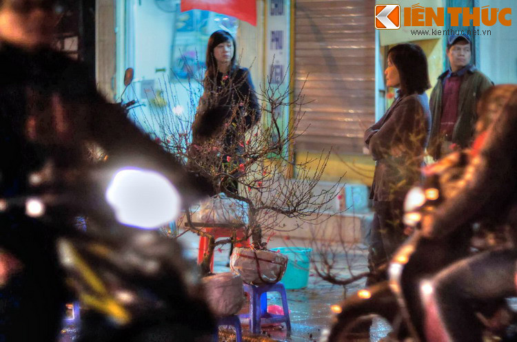 Nhiều người Hà Nội có thói quen chờ đến trước Giao thừa mới mua hoa đào về trưng Tết. Đây là thời điểm có thể chọn mua cành đào ưng ý với giá rất rẻ.