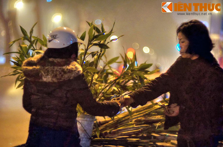 Những cành lộc được đưa về nhà, mang theo hi vọng về một năm mới nhiều may mắn.