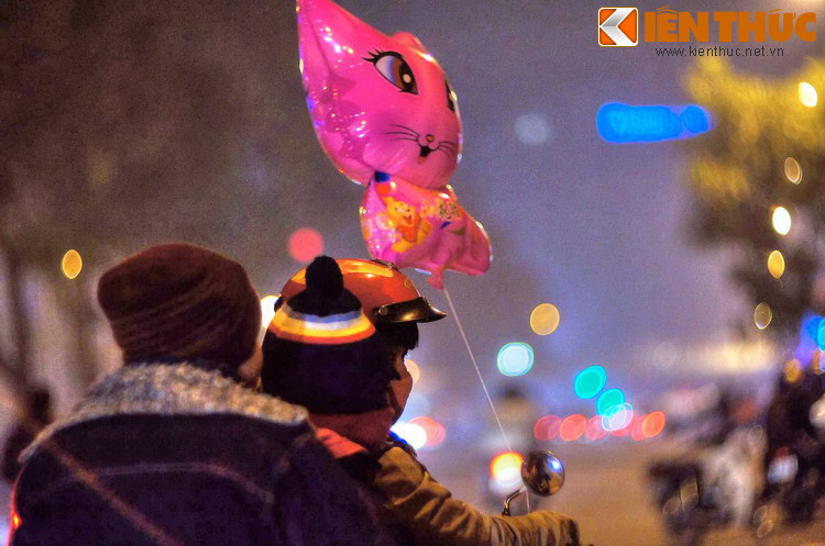 Hình ảnh những chú mèo - linh vật của năm mới Tân Mão - xuất hiện khắp các phố phường.