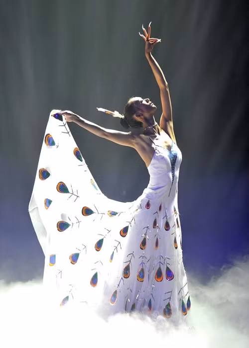 Dương Lệ Bình xuất thân là diễn viên múa. Nữ nghệ sĩ bắt đầu lưu diễn sau khi tham gia vào đoàn ca múa nhạc Tây Song Bản Nạp lúc 13 tuổi. Ảnh: Dân Trí.