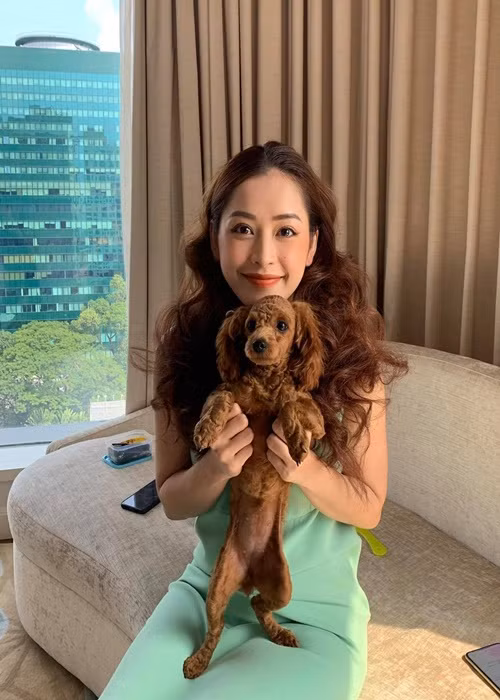 Năm 2018, Chi Pu tậu một căn hộ chung cư sang trọng ở quận 2, TP HCM, có giá gần 4 tỷ đồng. Năm 2021, cô liên tục đăng tải hình ảnh tại một căn hộ sang trọng và xa xỉ nằm ở quận 3, TP HCM.