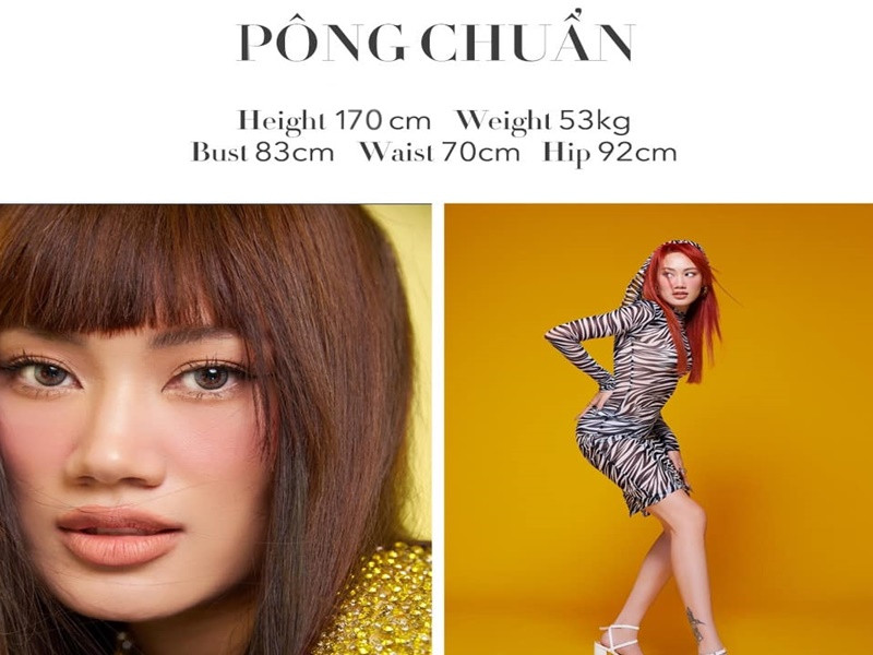 The New Mentor còn có sự tham gia của Pông Chuẩn - Top 4 Vietnam’s Next Top Model 2010.