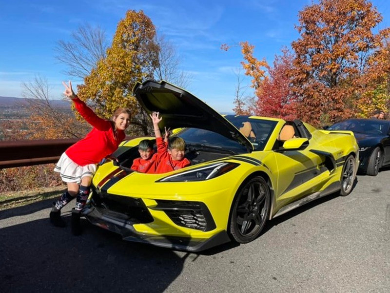 Vợ chồng Phạm Thanh Thảo sở hữu khối tài sản khủng như các bất động sản cho thuê, những ngôi nhà mua để sửa chữa rồi bán lại, 7 chiếc xe hơi, một chiếc du thuyền trên biển, một chiếc tàu nhỏ.