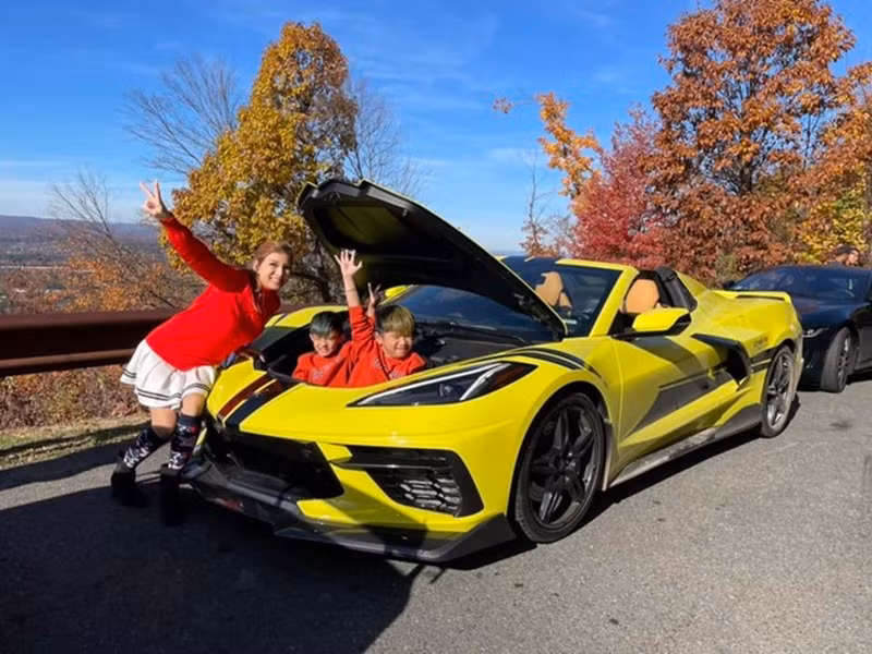 Vợ chồng Phạm Thanh Thảo sở hữu khối tài sản khủng như các bất động sản cho thuê, những ngôi nhà mua để sửa chữa rồi bán lại, 7 chiếc xe hơi, một chiếc du thuyền trên biển, một chiếc tàu nhỏ.