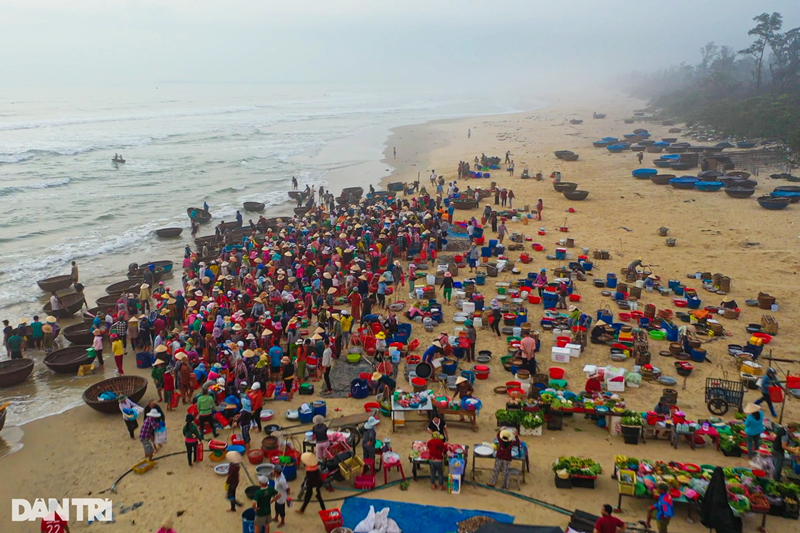 Chợ cá buôn bán sỉ tất cả các loại cá của ngư dân đánh bắt hàng ngày. Các tàu thuyền lớn nhỏ của địa phương ra khơi từ chiều hôm trước, đến khoảng 4h sáng hôm sau cập bờ. Ngư dân đánh bắt được cá gì bán cá đó, giá cả tùy theo buổi chợ. Cá từ chợ này tỏa đi khắp các địa phương trong tỉnh Quảng Nam, thậm chí cá tươi được xe lạnh vận chuyển ra các chợ ở Đà Nẵng, vào Quảng Ngãi.