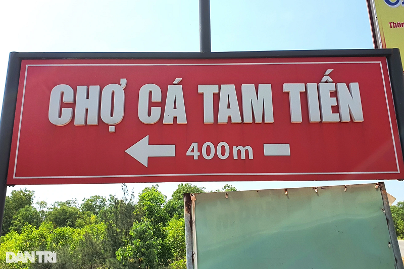  Chợ cá biển Tam Tiến, thôn Hòa Lộc, xã Tam Tiến, huyện Núi Thành, Quảng Nam họp từ 4h30 đến 7-8h sáng mỗi ngày. Trước đây, chợ cá Tam Tiến cũng chỉ là một chợ cá bình thường của ngư dân địa phương buôn bán tự phát trên bãi biển hàng ngày. Từ năm 2015 trở đi, chợ cá này bắt đầu phát triển mạnh, ngư dân, tiểu thương tụ tập về buôn bán rất đông.