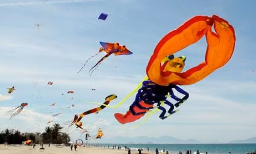 Toàn bộ chi phí để làm con diều này do ông Phạm Mạnh Hùng, một là thành viên tích cực của CLB diều Sài Gòn đầu tư. Mất tới 91 ngày để các thành viên nhóm hoàn thành con diều ấn tượng này.