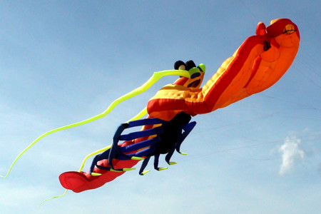 Con diều này nặng 54kg làm từ 750m vải ni-lông dầu 2 da (khổ vải 1,5m).