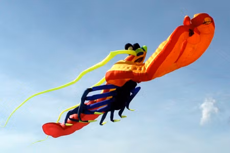 Loat dieu khung cua CLB gay tu vong be 4 tuoi-Hinh-2