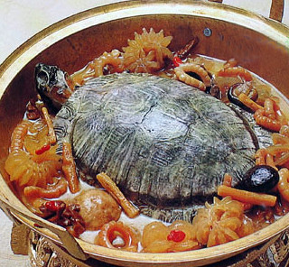 Đặc sản càng bổ dưỡng thì đắt đỏ bao nhiêu, giới nhà giàu thời xưa vẫn có thể mua được. Đặc biệt là món rùa hầm tăng cường sức khỏe. Ảnh minh họa.