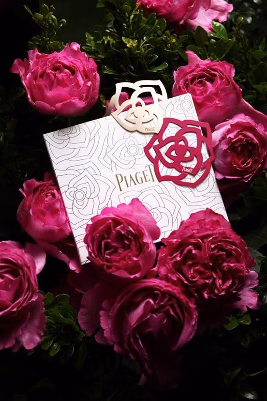 Du loai hoa la gia chat “len ngoi” dip 8/3-Hinh-5