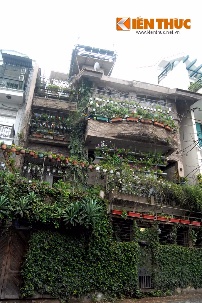 Rất nhiều giỏ, chậu hoa treo kín khắp hàng rào, mái hiên và cả sân thượng. Các chai thủy tinh sơn màu sắc sặc sỡ, được treo ở ban công khá lạ mắt.