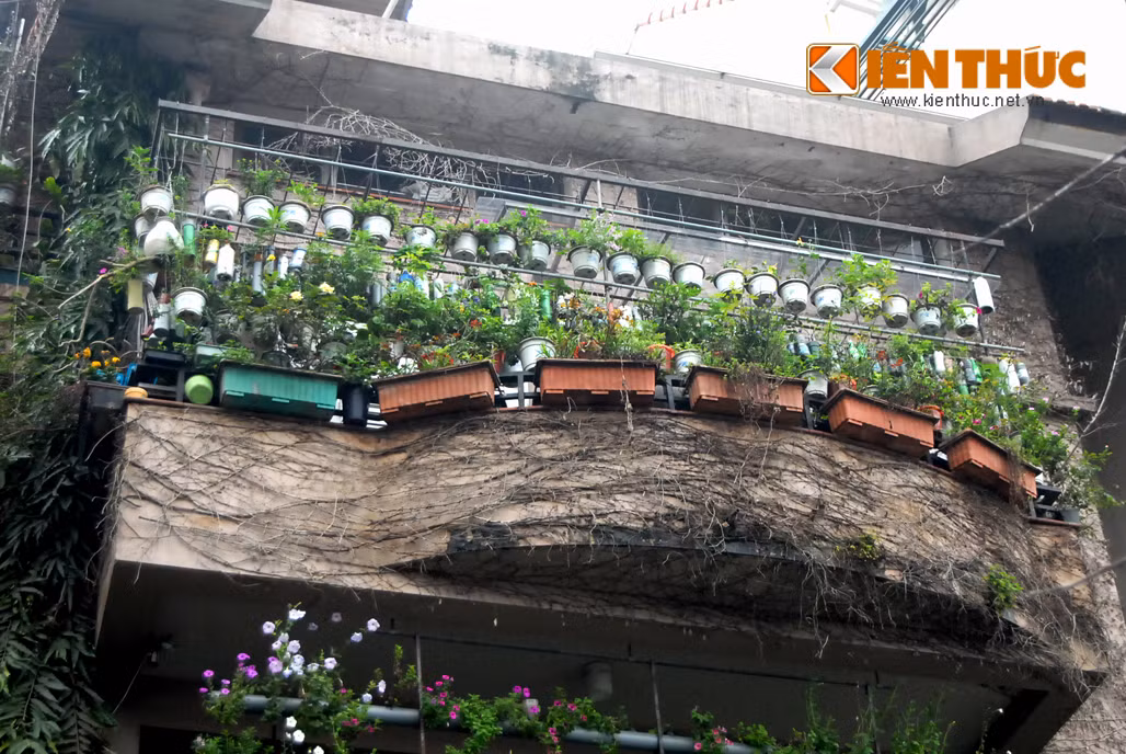 Thậm chí, chủ nhân ngôi nhà còn làm thêm các giàn treo để tăng diện tích treo các giỏ, chậu hoa.