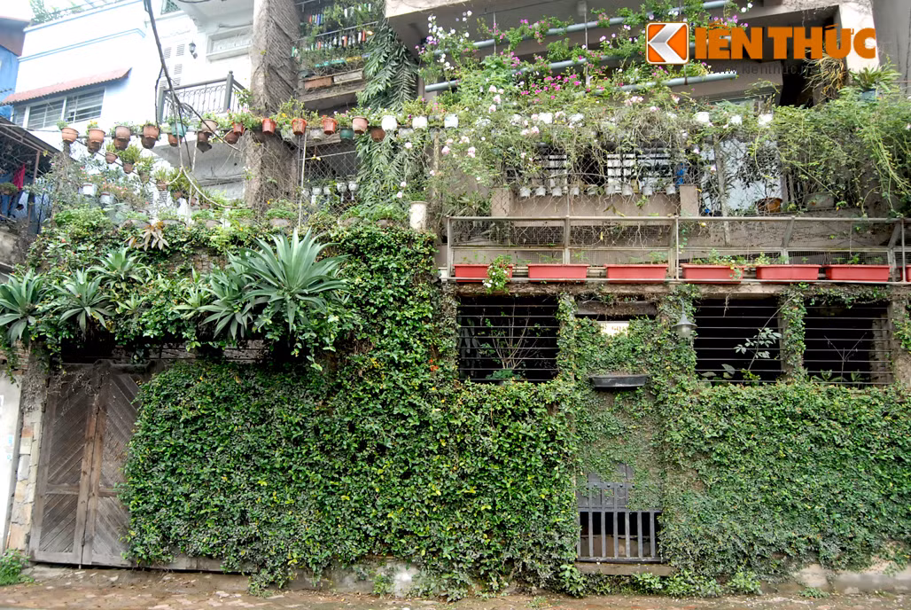 Cô Thái (một người dân sống gần đây cho biết): "Nhà này phải rộng hàng trăm m2, một phần phía đường Yên Hoa, gần hồ Tây, phần còn lại ăn thông lên phía đê Yên Phụ, tính giá ngôi nhà này cũng phải hàng chục tỷ".