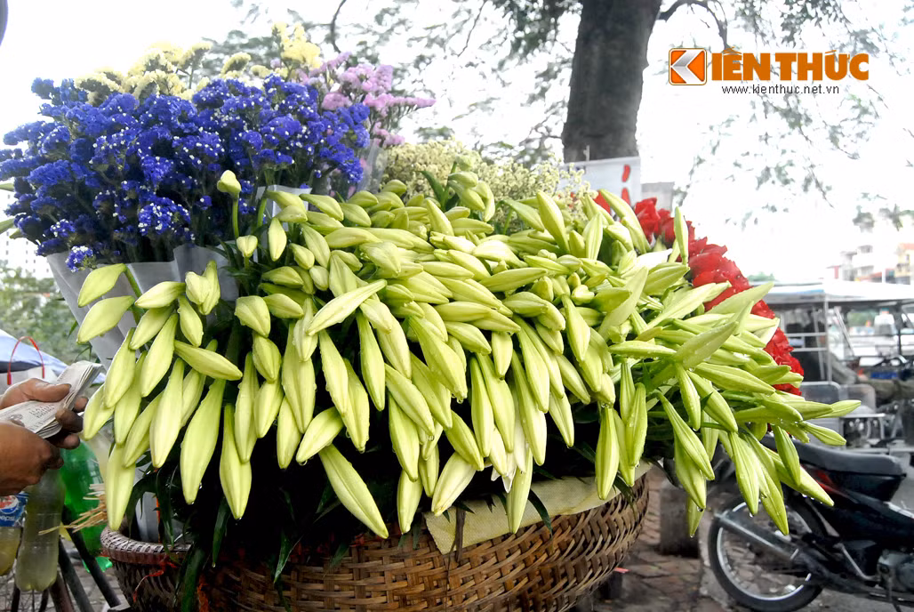 Dan Ha Noi xon xang voi loa ken dau mua gia “chat”-Hinh-2