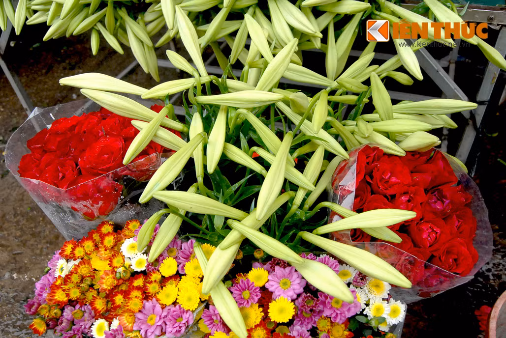 Theo chia sẻ của chị Tân (bán hàng hoa trên phố Yên Phụ - Tây Hồ): "Có thể năm nay sẽ ít hoa hơn mọi năm vì vườn Quảng Bá trồng ít hơn năm trước, phải đi sâu vào phía vườn sát chân cầu Nhật Tân mới có. Người làm vườn dần chuyển sang trồng hoa ly vì lời lãi cao hơn nhiều".