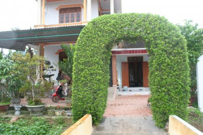 Cổng nhà được tạo hình lạ mắt từ cây chè tàu ở làng Lệ Thủy (Kiên Giang). Ảnh: Blog langdaiphong.