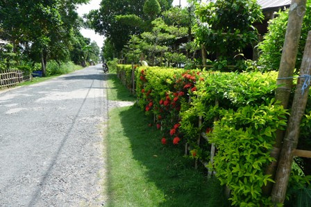 Những rặng cây xanh mơn mởn được cắt tỉa đẹp đẽ, gọn gàng, trồng xen kẽ với nhiều loại hoa màu sắc tạo điểm nhấn rất riêng cho các ngôi nhà ở làng quê miền Tây. Ảnh: Nguyễn Hành