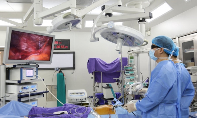  Sắp xếp lại doanh nghiệp nhà nước tại Bộ Y tế và 2 tỉnh, thành phố: Phó Thủ tướng Chính phủ Lê Minh Khái đã ký Quyết định 184/QĐ-TTg ngày 20/2/2024 phê duyệt Kế hoạch sắp xếp lại doanh nghiệp nhà nước, doanh nghiệp có vốn nhà nước trực thuộc Bộ Y tế, UBND Thành phố Hồ Chí Minh và UBND tỉnh Hải Dương đến hết năm 2025 theo các hình thức: Duy trì công ty trách nhiệm hữu hạn một thành viên; cổ phần hóa, sáp nhập; chuyển nhượng một phần hoặc toàn bộ vốn nhà nước (thoái vốn).