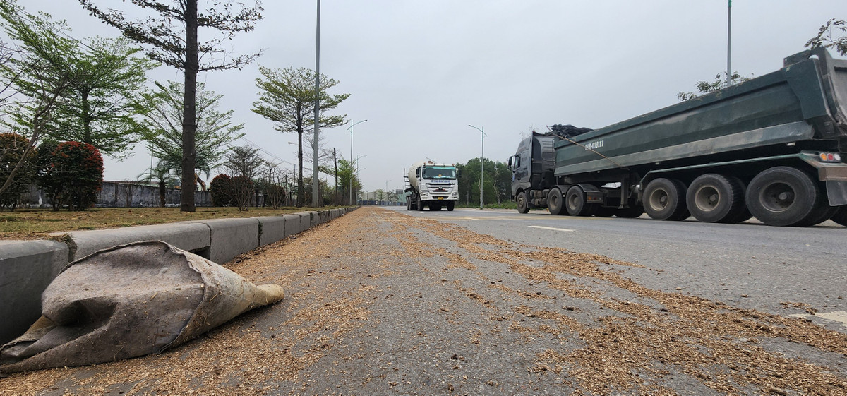 Ngoài dăm gỗ còn có nhiều loại rác nằm ven tuyến đường.