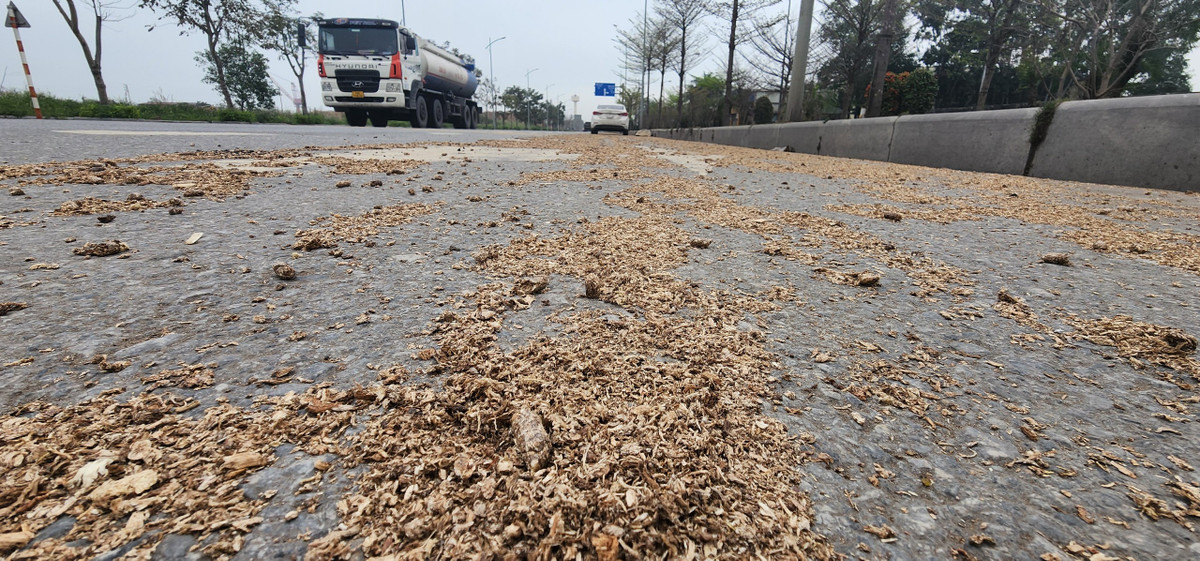 Dăm gỗ phủ kín dọc đường, nhưng chưa được đơn vị chức năng dọn dẹp.