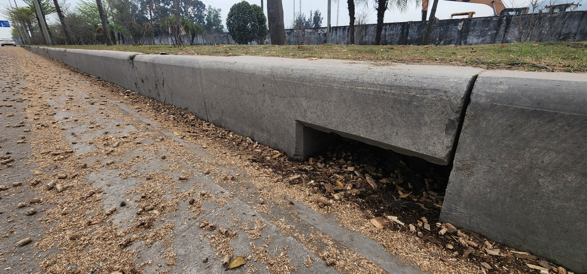 Các vị trí cống thoát nước của tuyến đường bị dăm gỗ lấp một phần.