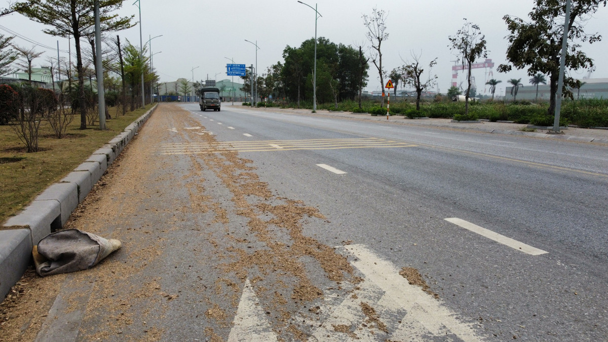 Ghi nhận của PV Báo Tri thức và Cuộc sống, dăm gỗ phủ kín một làn đường và kéo dài hơn 1km bên phải tuyến đường hướng về KCN Cái Lân. Bề dày dăm gỗ vương vãi khá lớn, có đoạn gần 2cm.