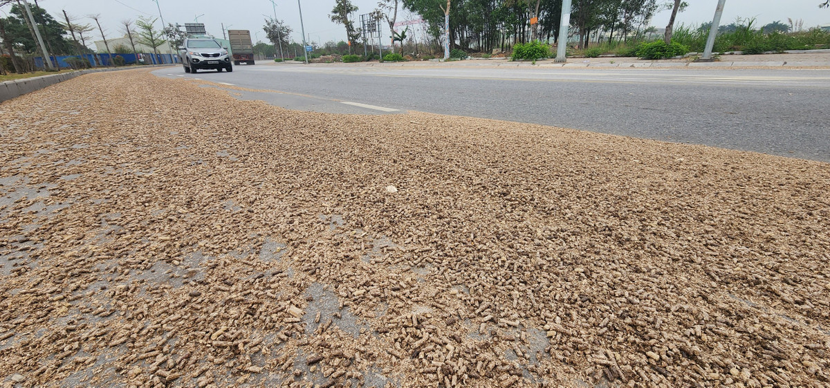 Do làn đường bị phủ kín dăm gỗ nên nhiều phương tiện không dám di chuyển vào vì sợ trơn trượt.