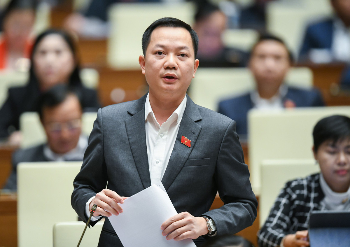 ĐBQH: Nông nghiệp mới là lĩnh vực Việt Nam “đấu” với thế giới DBQH: Nong nghiep moi la linh vuc Viet Nam “dau” voi the gioi