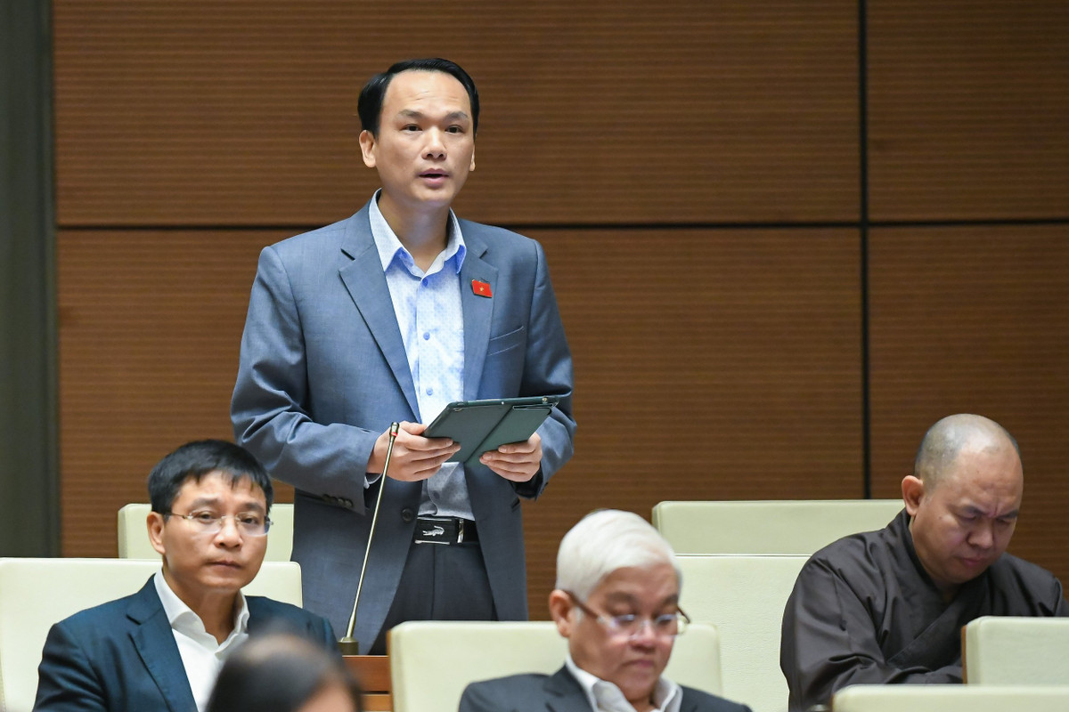 ĐBQH: Nông nghiệp mới là lĩnh vực Việt Nam “đấu” với thế giới - Hình 2 DBQH: Nong nghiep moi la linh vuc Viet Nam “dau” voi the gioi-Hinh-2