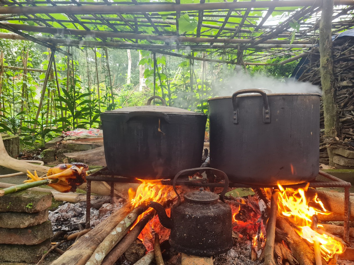 TS Phan Thanh Hai: Tet la ban sac… nhat dinh phai giu-Hinh-3