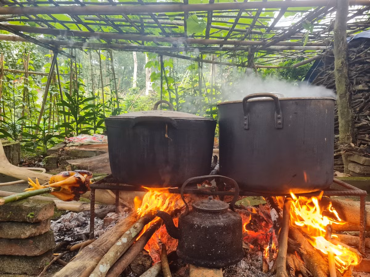 TS Phan Thanh Hai: Tet la ban sac… nhat dinh phai giu-Hinh-3