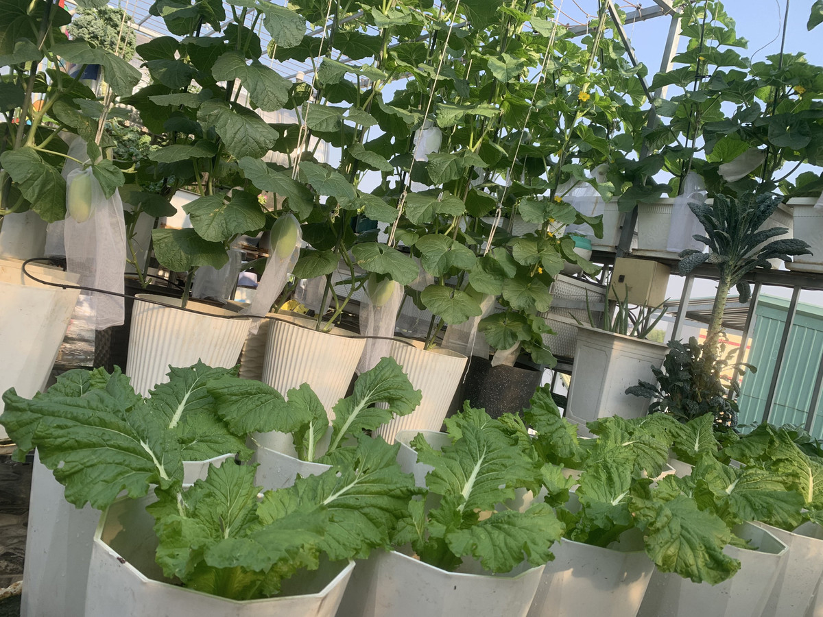 Me dam trong thanh cong tren san thuong voi khoang 240 goc-Hinh-14