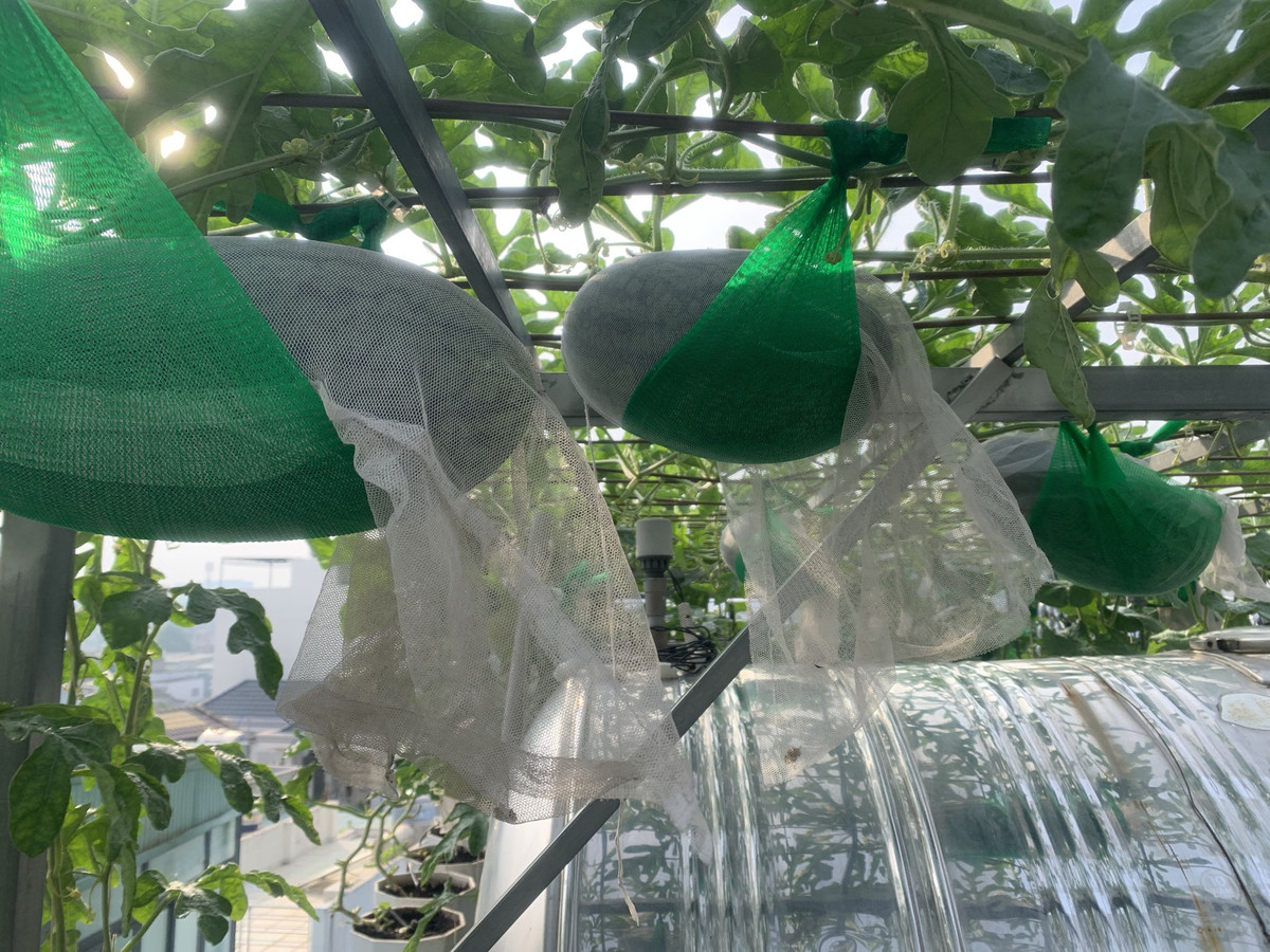 Me dam trong thanh cong tren san thuong voi khoang 240 goc-Hinh-11