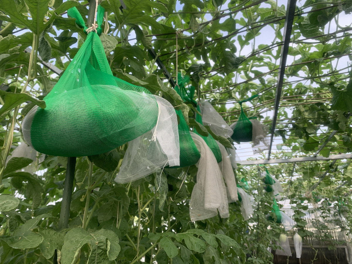 Me dam trong thanh cong tren san thuong voi khoang 240 goc-Hinh-7