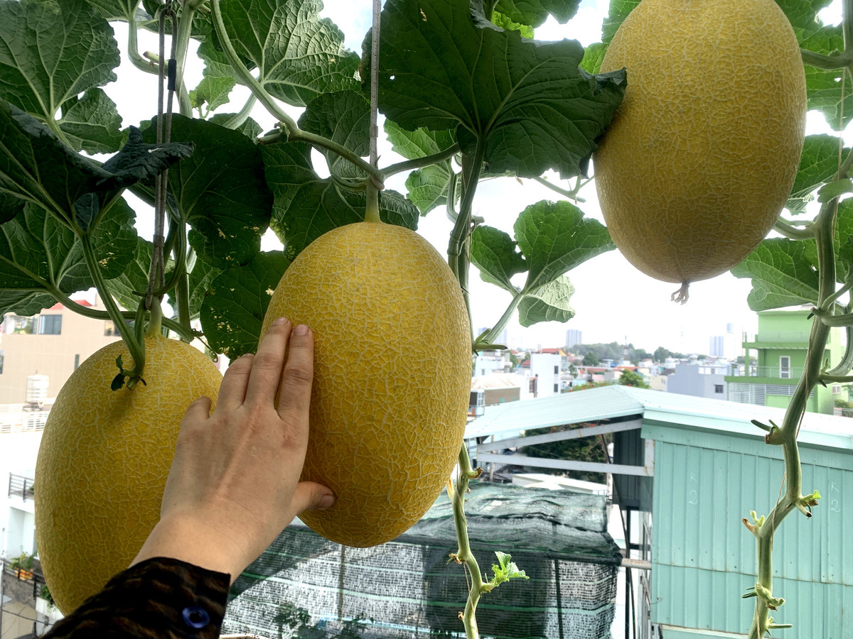 Me dam trong thanh cong tren san thuong voi khoang 240 goc-Hinh-8