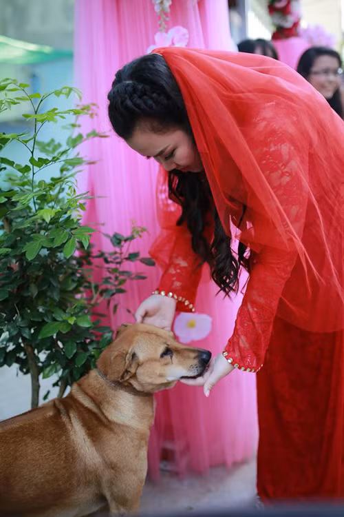 Chu cho khoc rong ngay co chu Sai thanh lay chong