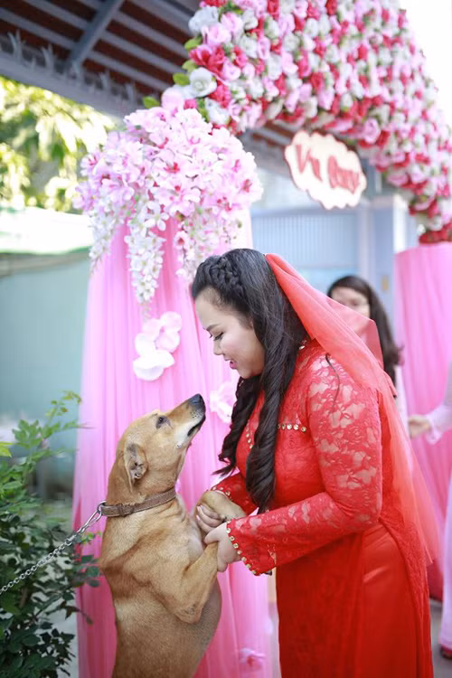 Nhiếp ảnh Huỳnh Lý Hùng chia sẻ: "Hôm đó là ngày 14/5, mình chụp phóng sự cưới ở phường Phú Nhuận, TP HCM. Chú chó ở nhà cô dâu được gọi là Ki, vốn được nhà chủ rất yêu thương và coi như một thành viên trong gia đình".