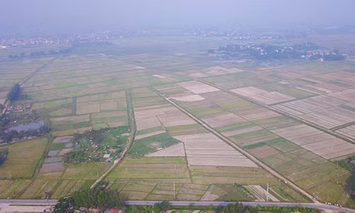 Can canh noi du kien lam truong dua ngua hon 400 trieu USD o Ha Noi