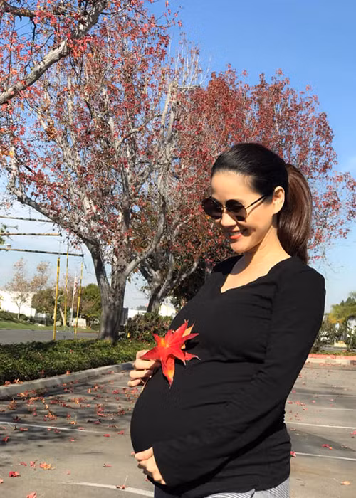 Thân Thúy Hà mang thai lần thứ 2. Hiện, cô không công khai danh tính bố của nhóc tì thứ 2 này. Ảnh: FBNV