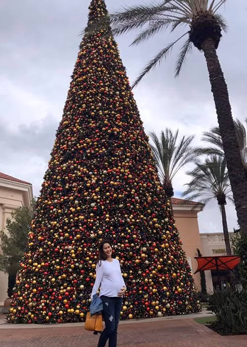 Sang Mỹ sinh con, gần đây, người đẹp liên tục cập nhật hình ảnh. Ảnh: FBNV