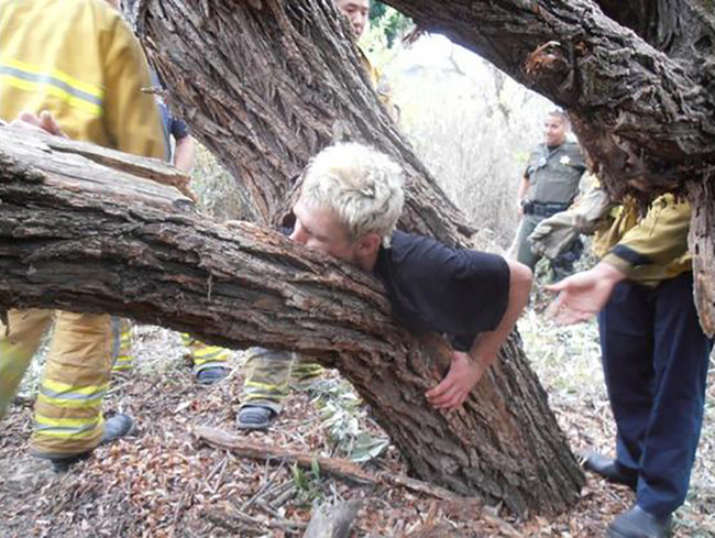 Thấy người ta ở nhà cây cũng định học theo đây mà.