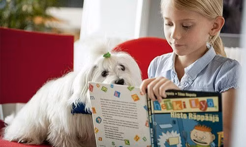 Chuyện lạ có thật: Trường ĐH đầu tiên dùng chó giúp sinh viên học Chuyen la co that: Truong DH dau tien dung cho giup sinh vien hoc