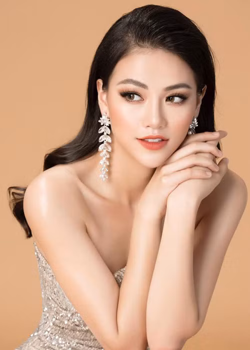 Khong chi Phuong Khanh, nhieu hoa hau, hoa khoi cung bi to vo on