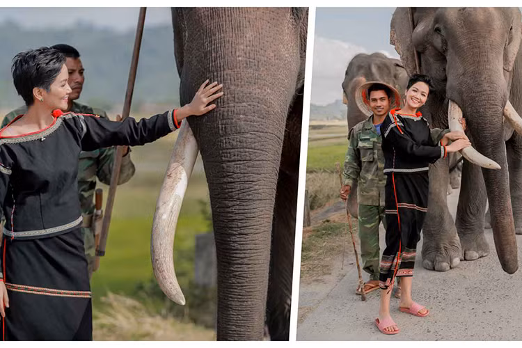 Top 5 Hoa hậu Hoàn vũ Thế giới 2018 thường xuyên đi dép lê ở đời thường. Ảnh: Star1