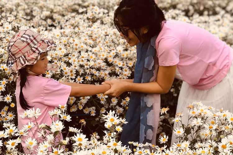 Đầu tháng 12, Mai Phương cùng bé Lavie ra Hà Nội để ngắm cúc họa mi.