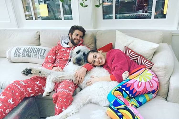 Đám cưới của cặp đôi diễn viên phim "The last song" được khán giả ngóng chờ từng ngày. Ảnh: FBNV