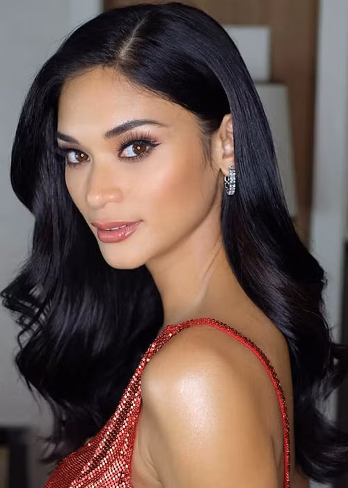 Sự nghiệp sau khi đoạt vương miện của Pia Wurtzbach lên như diều gặp gió. Cô tham gia hoạt động giải trí và làm chủ một trung tâm huấn luyện về sắc đẹp.