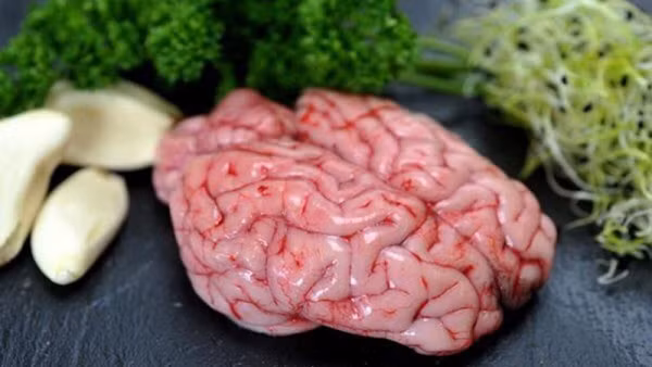 Ăn nhiều óc lợn trong thời gian dài dễ khiến máu đặc lại, thậm chí gây hình thành huyết khối làm tắc nghẽn mạch máu. Từ đó, gây ra các bệnh tim mạch và mạch máu não.