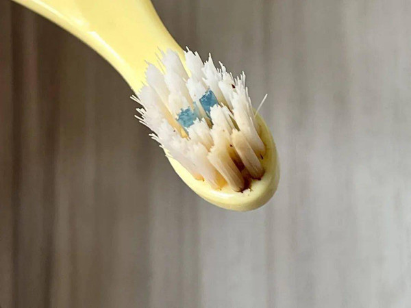 Ngoài ra, các vật dụng vệ sinh như bàn chải đánh răng, góc lõm của bồn tắm gấp gọn, lưới tắm, thảm tắm... cũng rất dễ bị nấm mốc, đặc biệt thời điểm mùa xuân hè có độ ẩm cao. Nếu phòng không thông gió, nấm mốc sẽ xuất hiện chỉ 1-2 ngày.